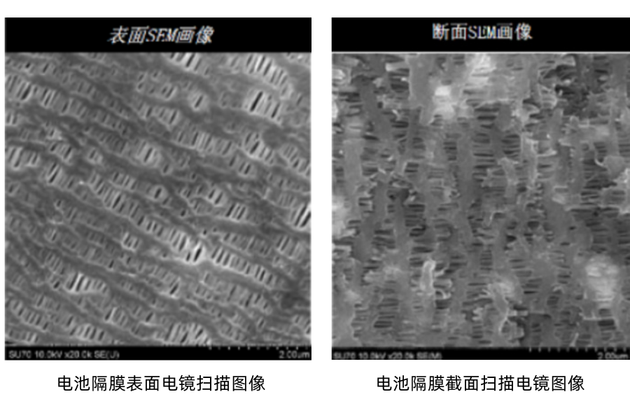格瑞普電池隔膜掃描圖片 格瑞普電池隔膜掃描圖片